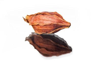 《女神异闻录5》官方设定集成为亚马逊销冠